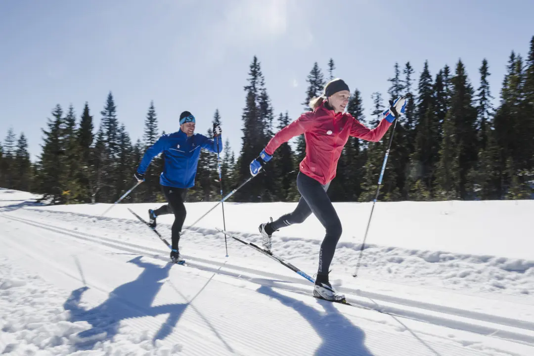 Två längdskidåkare i toppspåret på Kläppen