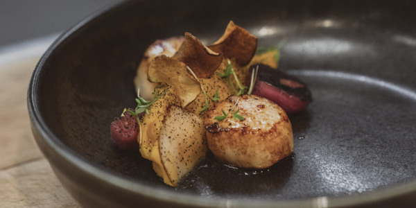 dinner at Halster Bar & Bistro